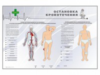 Электрифицированный стенд "Остановка кровотечения" - fgospostavki.ru - Шуя