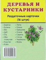 Раздаточные карточки "Деревья и кустарники" - fgospostavki.ru - Шуя