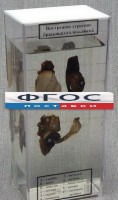 Влажный препарат "Внутреннее строение брюхоногого моллюска" - fgospostavki.ru - Шуя