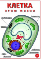 DVD "Клетка - "атом жизни" - fgospostavki.ru - Шуя