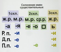 Набор магнитных карточек "Склонение имен существительных" - fgospostavki.ru - Шуя