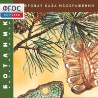 Ботаника. Микрофотографии. (Цифровая база изображений) - fgospostavki.ru - Шуя