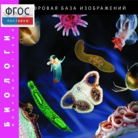 Биология. Микрофотографии. (Цифровая база изображений) - fgospostavki.ru - Шуя
