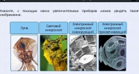 Интерактивные курсы. Биология 5 класс. Расширенный - fgospostavki.ru - Шуя