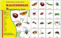 Демонстрационные карточки "Насекомые" - fgospostavki.ru - Шуя