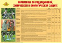 Плакат "Нормативы по радиационной, химической и биологической защите" - fgospostavki.ru - Шуя