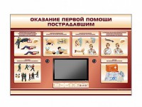 Многофункциональный интерактивный стенд-тренажер "Оказание первой помощи пострадавшим" для учащихся общеобразовательных учреждений - fgospostavki.ru - Шуя