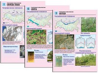 Комплект таблиц по географии "Природные зоны России" раздаточные (цветные, ламинированные, А4, 10 штук) - fgospostavki.ru - Шуя