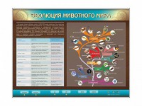Интерактивный электрифицированный стенд "Эволюция животного мира" - fgospostavki.ru - Шуя