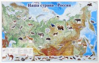 Магнитные карточки "Животные" - fgospostavki.ru - Шуя