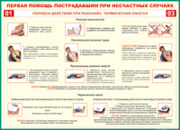 Таблица "Порядок действий при ранениях и термических ожогах" (100х140 сантиметров, винил) - fgospostavki.ru - Шуя