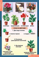 Комплект таблиц. Окружающий мир 1 класс. - fgospostavki.ru - Шуя