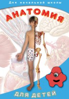 DVD "Анатомия для детей" - fgospostavki.ru - Шуя
