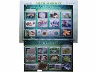 Комбинированный модульный комплекс "Лого-биолог" - fgospostavki.ru - Шуя