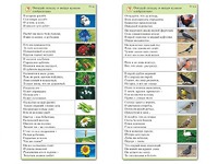 Комплект карточек (10) "Обучающий калейдоскоп. Природа" - fgospostavki.ru - Шуя