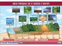 Таблица демонстрационная "Смена природных зон от полюсов к экватору" (винил 70*100) - fgospostavki.ru - Шуя