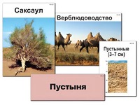 Модель-аппликация "Природные зоны России" (ламинированная) - fgospostavki.ru - Шуя