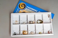 Коллекция "Раковины моллюсков" - fgospostavki.ru - Шуя