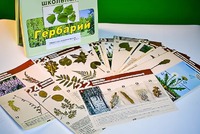 Гербарий к курсу основ общей биологии - fgospostavki.ru - Шуя