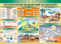 Таблица "Антропогенное воздействие на биосферу" (100х140 сантиметров, винил) - fgospostavki.ru - Шуя