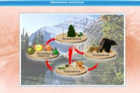 Интерактивные курсы. Биология 7 класс. Базовый. - fgospostavki.ru - Шуя