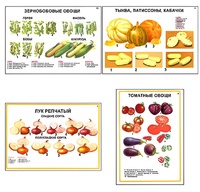 Плакаты ПРОФТЕХ "Ассортимент овощных культур" (12 пл, винил, 70х100) - fgospostavki.ru - Шуя