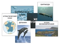 Модель-аппликация "Океаны. Знакомство" (ламинированная) - fgospostavki.ru - Шуя