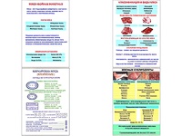Плакаты ПРОФТЕХ "Классификации и виды мяса" (4 пл, винил, 70х100) - fgospostavki.ru - Шуя