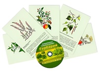 Интерактивный наглядный комплекс "Гербарий "Для начальной школы" - fgospostavki.ru - Шуя