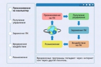 Интерактивные курсы. Информатика 10 класс . Базовый. - fgospostavki.ru - Шуя