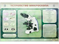 Электрифицированный стенд "Устройство микроскопа и правила работы c ним" - fgospostavki.ru - Шуя