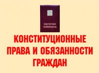 Комплект плакатов "Конституционные права и обязанности граждан" - fgospostavki.ru - Шуя