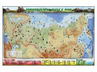 Электронно-информационный (маркерный) стенд "Природа России" - fgospostavki.ru - Шуя