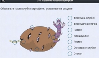 Интерактивные курсы. Биология 6 класс. Расширенный - fgospostavki.ru - Шуя