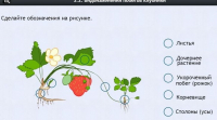 Интерактивные курсы. Биология 7 класс. Расширенный. - fgospostavki.ru - Шуя