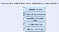Интерактивные курсы. Русский язык 7 класс . Базовый. - fgospostavki.ru - Шуя