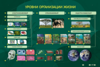 Электрифицированный стенд "Уровни организации жизни" - fgospostavki.ru - Шуя