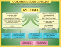 Стенд "Методы селекции и биотехнологии" - fgospostavki.ru - Шуя