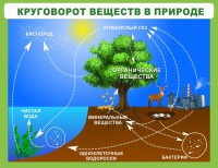 Стенд "Круговорот веществ" - fgospostavki.ru - Шуя