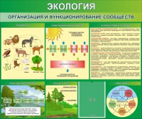 Стенд "Экология. Организация и функционирование сообществ" - fgospostavki.ru - Шуя