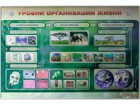 Электрифицированный стенд "Уровни организации жизни" - fgospostavki.ru - Шуя
