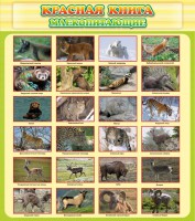 Стенд "Красная книга - млекопитающие" - fgospostavki.ru - Шуя