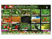 Комплект оборудования "Живой уголок" (растения) - fgospostavki.ru - Шуя