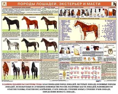 Комплект плакатов "Служебное коневодство" - fgospostavki.ru - Шуя