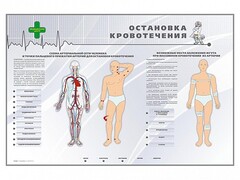 Электрифицированный стенд "Остановка кровотечения" - fgospostavki.ru - Шуя