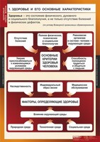 Комплект таблиц. ОБЖ. Здоровый образ жизни. - fgospostavki.ru - Шуя