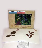 Гербарий "Дикорастущие растения" (28 видов) - fgospostavki.ru - Шуя