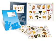 Комплект кодотранспарантов "Грибы" - fgospostavki.ru - Шуя