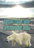 DVD "Животный мир Арктической зоны" - fgospostavki.ru - Шуя