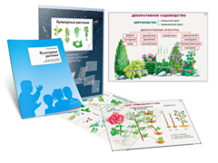 Комплект кодотранспарантов "Культурные растения" - fgospostavki.ru - Шуя